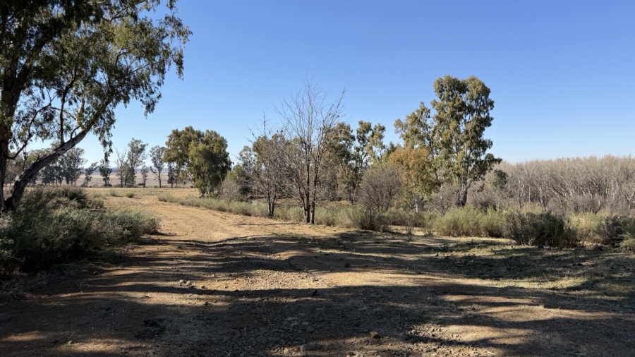 Commercial Property for Sale in Senekal Free State